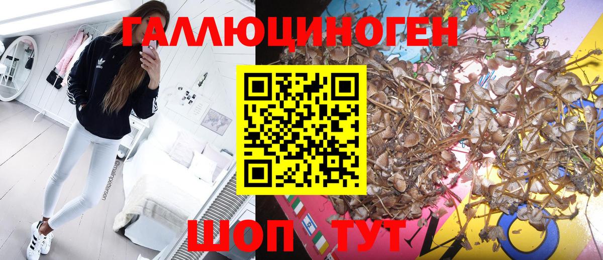 Ангарск  Галлюциногенные грибы MAGIC MUSHROOMS  Вход с VPN 
