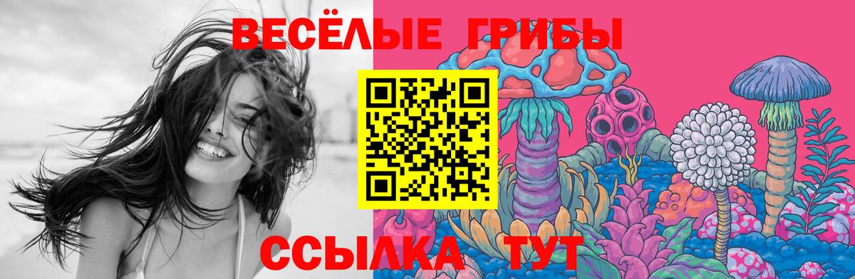 Галлюциногенные грибы прущие грибы Ангарск